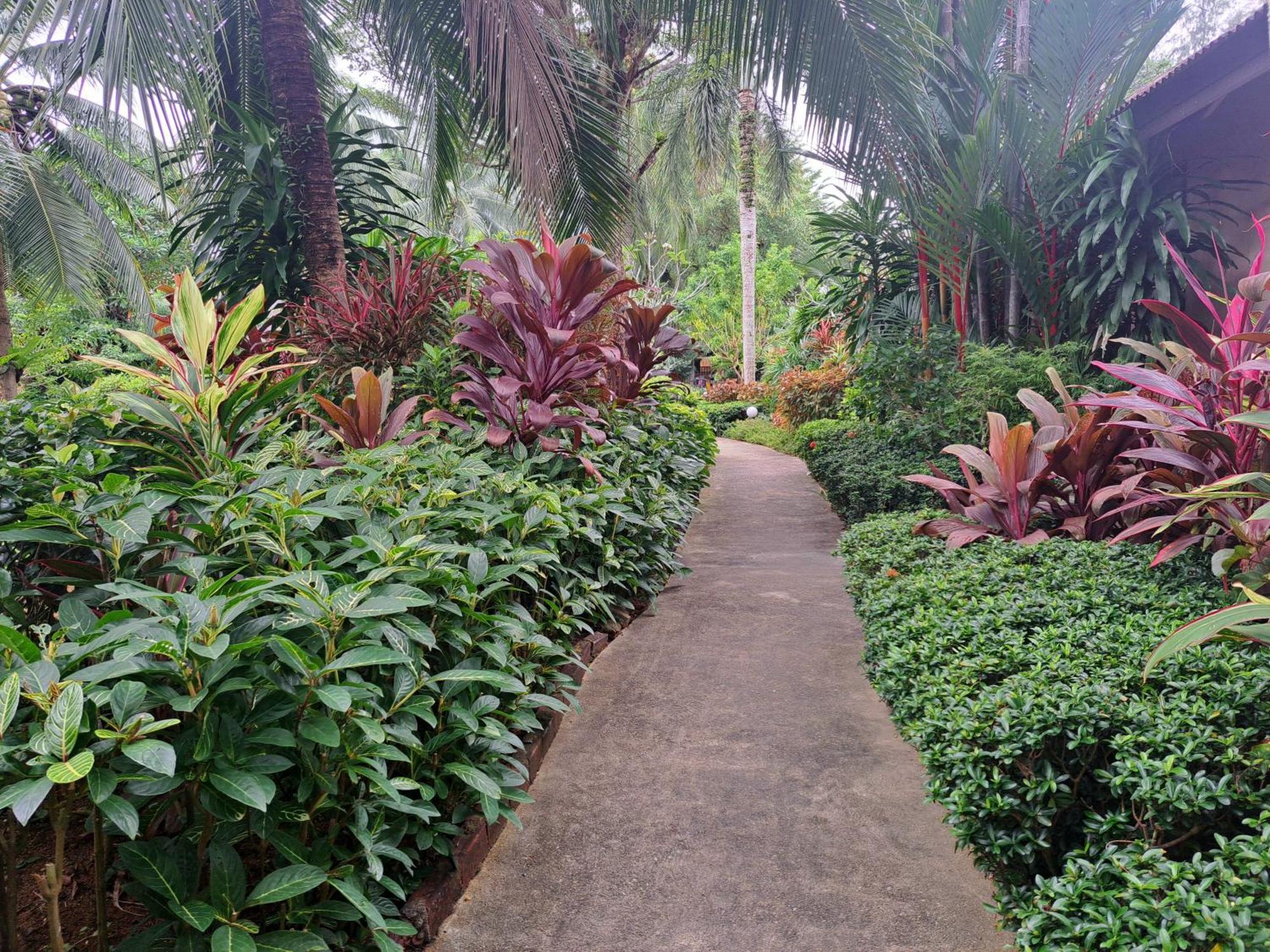 Jasmin Resort - Sha Plus Khao Lak Luaran gambar