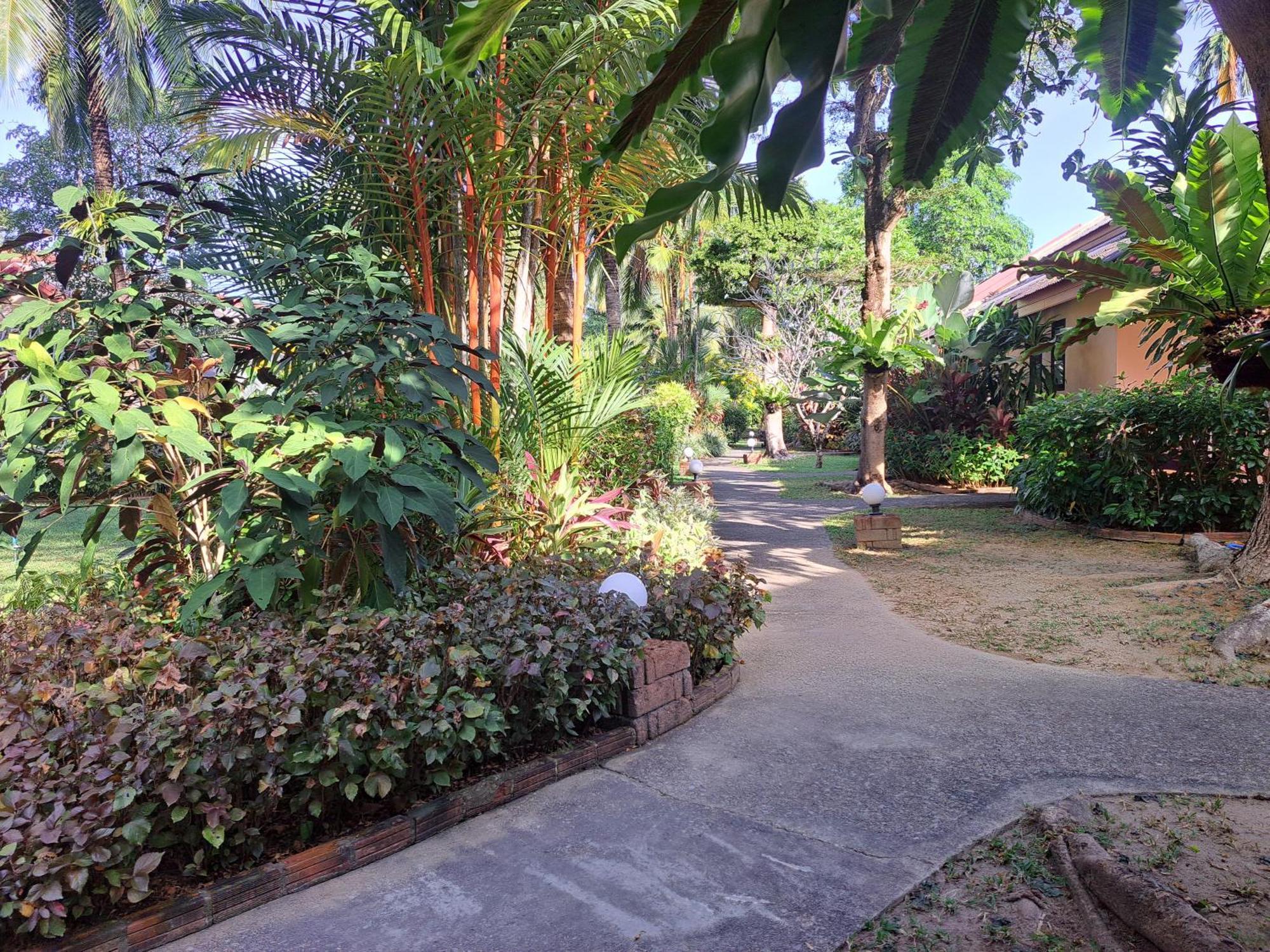 Jasmin Resort - Sha Plus Khao Lak Bilik gambar