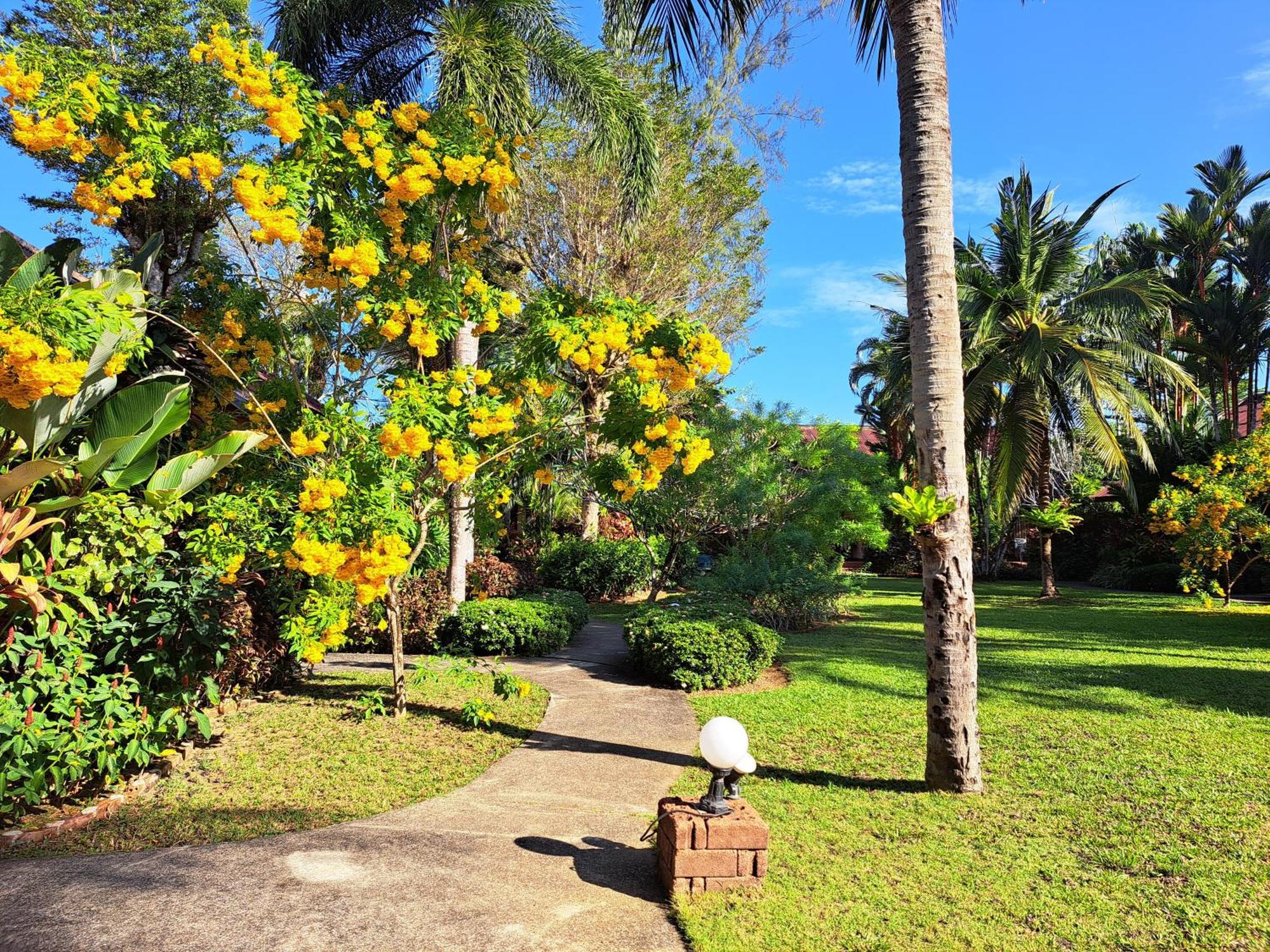 Jasmin Resort - Sha Plus Khao Lak Luaran gambar